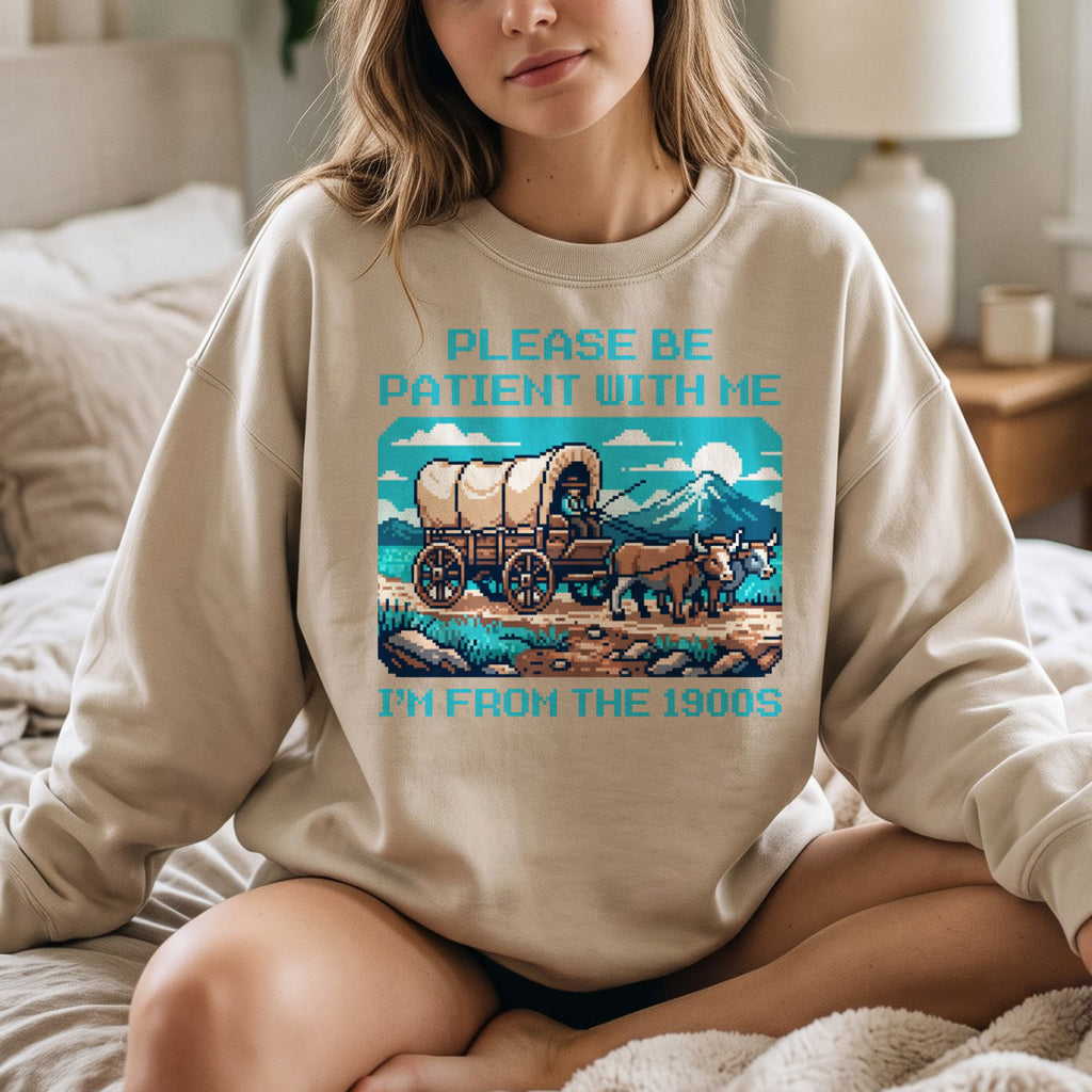 Please Be Patient With Me 1900s Sweatshirt, Pixel Vintage Shirt