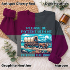 Please Be Patient With Me 1900s Sweatshirt, Pixel Vintage Shirt