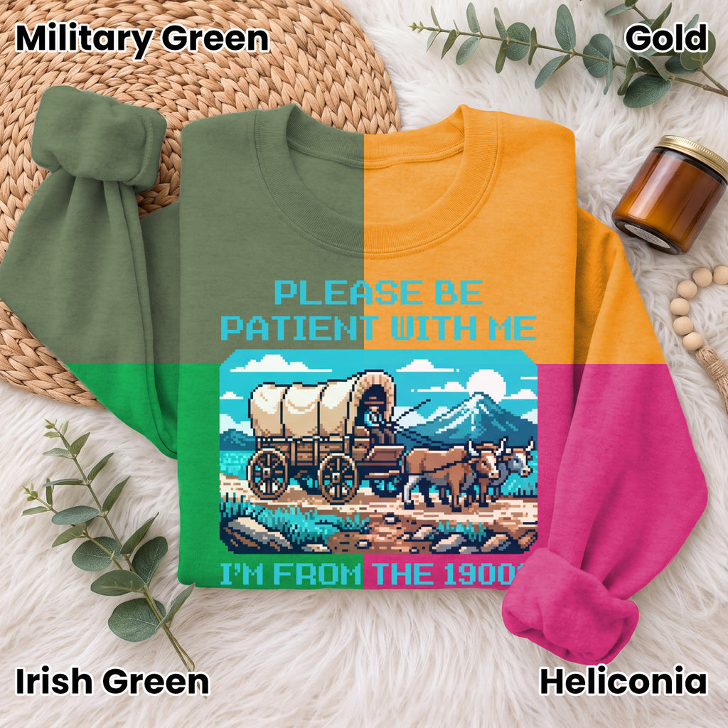 Please Be Patient With Me 1900s Sweatshirt, Pixel Vintage Shirt