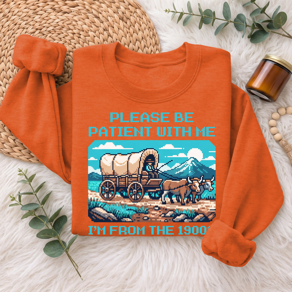 Please Be Patient With Me 1900s Sweatshirt, Pixel Vintage Shirt