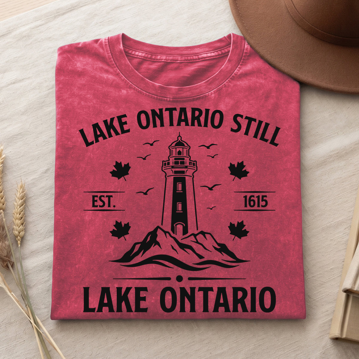 Lake Ontario Shirt - Vintage Unisex Comfort Colors Tee V2